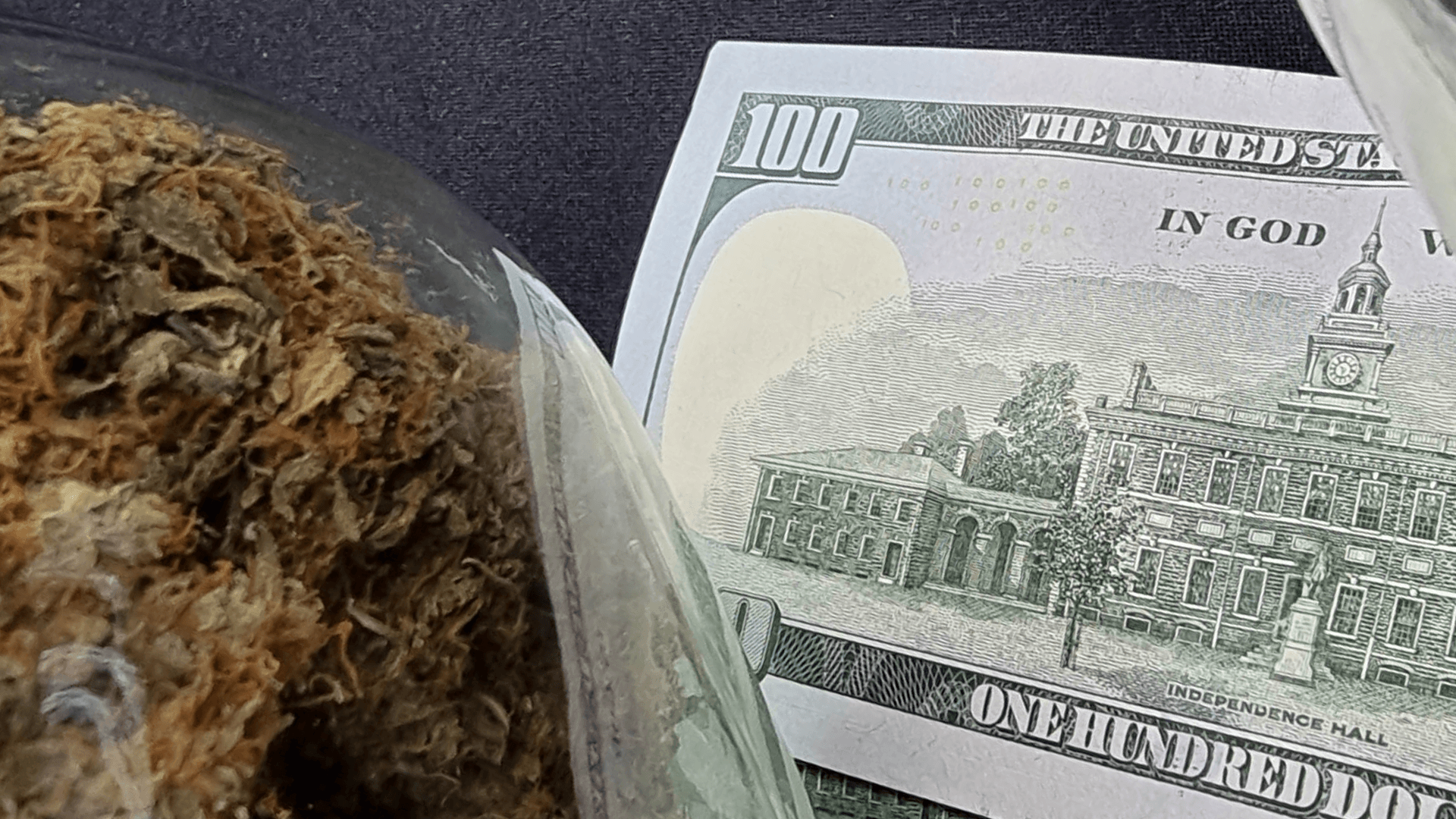 Is growing cannabis at home worth it cost and break-even guide