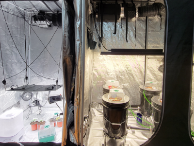 Indoor grow space containing soil pots and hydroponic equipment