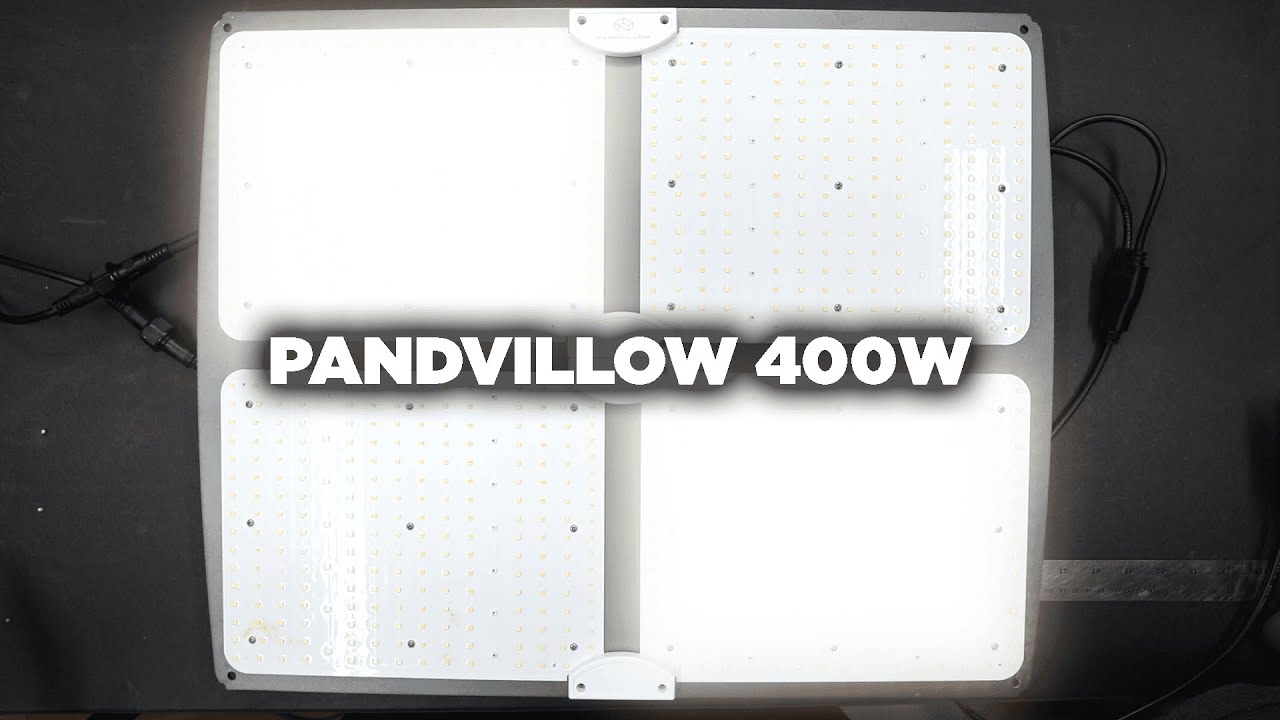 PANDVILLOW 400W LED grow light in HWGrow’s 2022 test