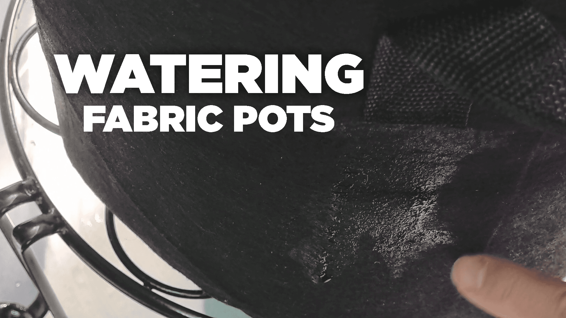 Watering and feeding cannabis in a fabric pot without leaving dry pockets