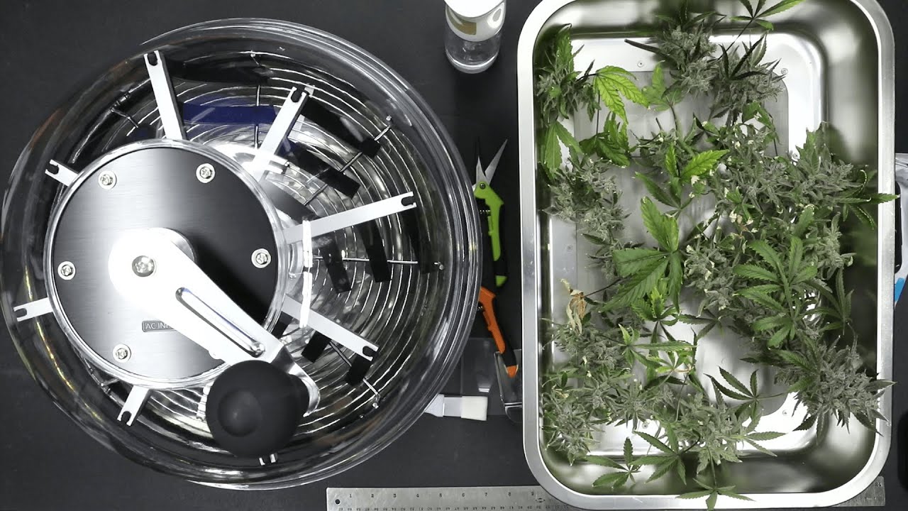 AC Infinity 16-inch bowl trimmer used in HWGrow's hand-trim comparison