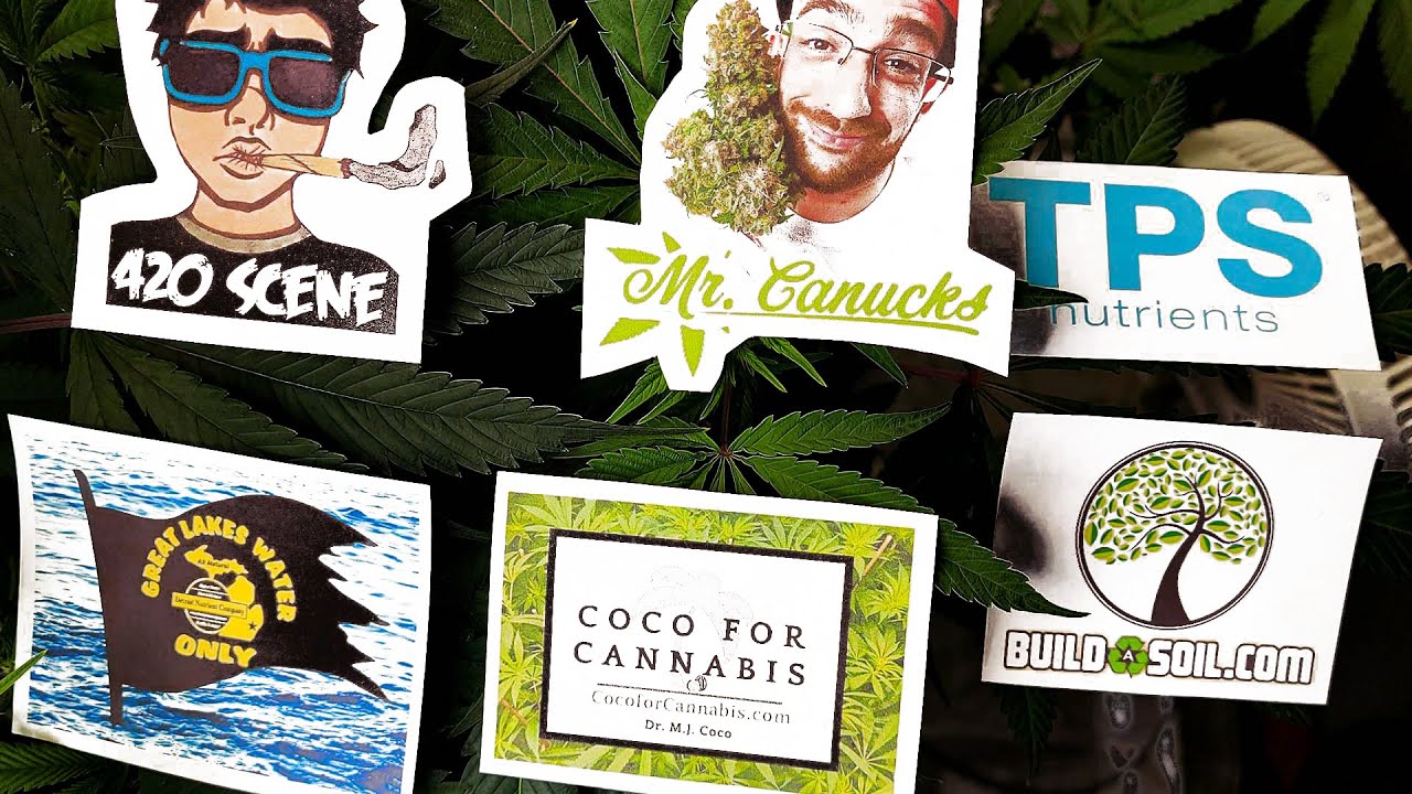 Waterproof plant labels for a cannabis growing-medium comparison