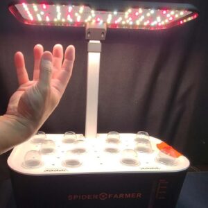 Spider Farmer G12 countertop hydroponic garden used in HWGrow's 2023 setup
