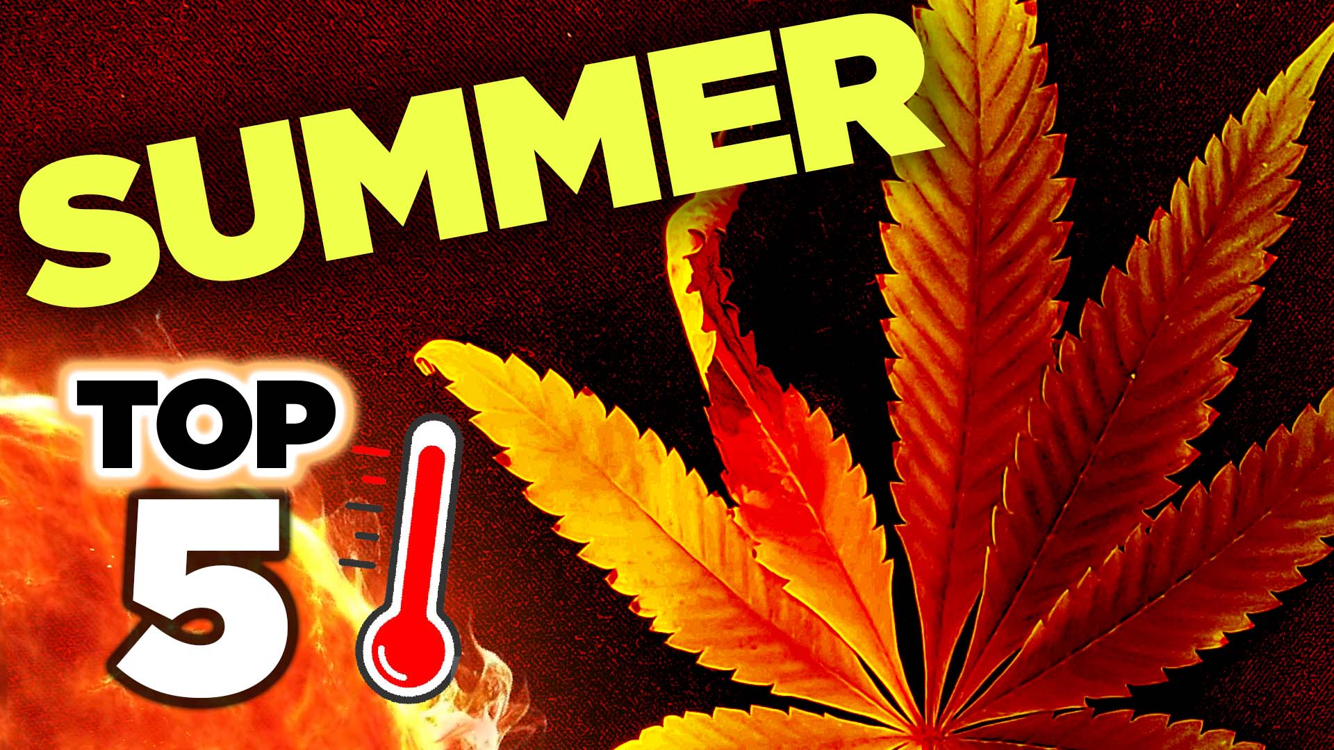 Grow tent cooling methods demonstrated in the HWGrow summer heat video