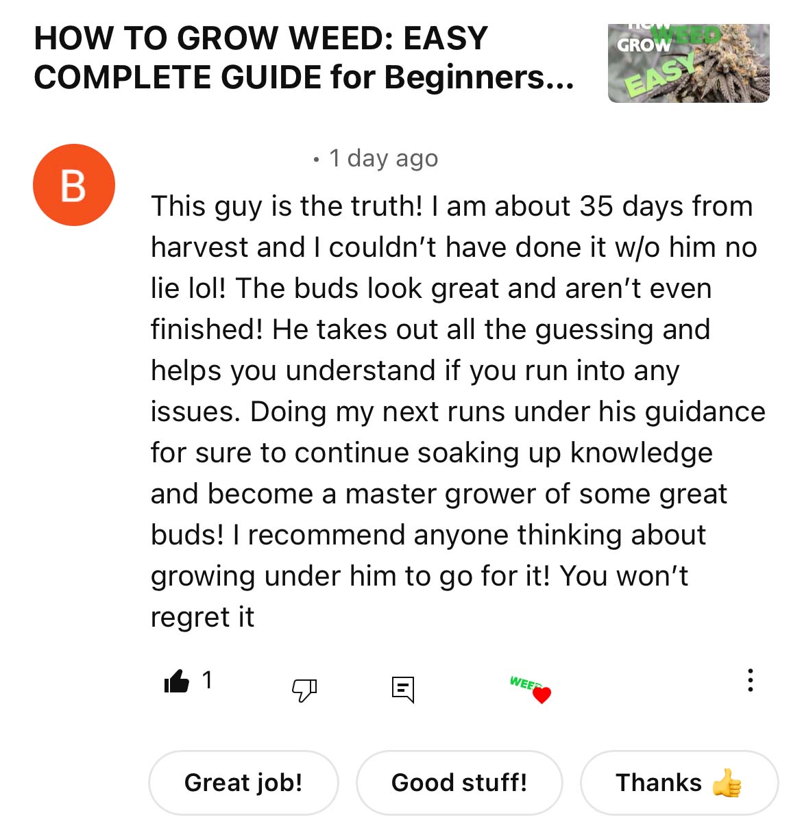 Comment on an HWGrow beginner video describing increased confidence during an initial grow.