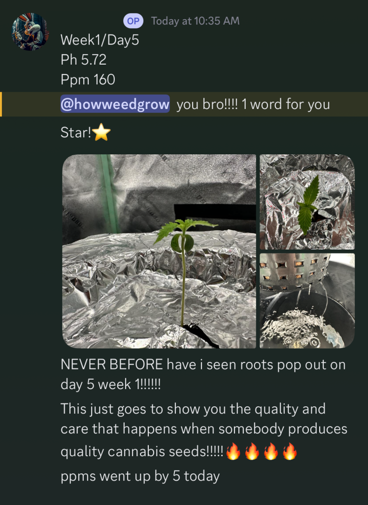 Community update showing a young plant, visible roots, and appreciative feedback.