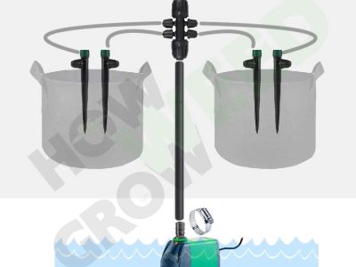 Two-plant DIY drip-irrigation layout with point emitters in a 2×4 grow tent