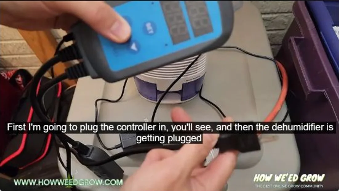 Connecting a humidity controller and mini dehumidifier for a DIY cannabis cure bin