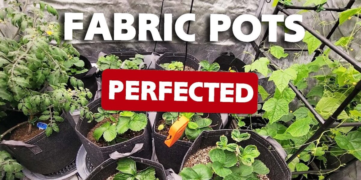 How to Prepare Fabric Pots and Grow Bags for Soil video tutorial