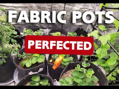 How to Prepare Fabric Pots and Grow Bags for Soil video tutorial