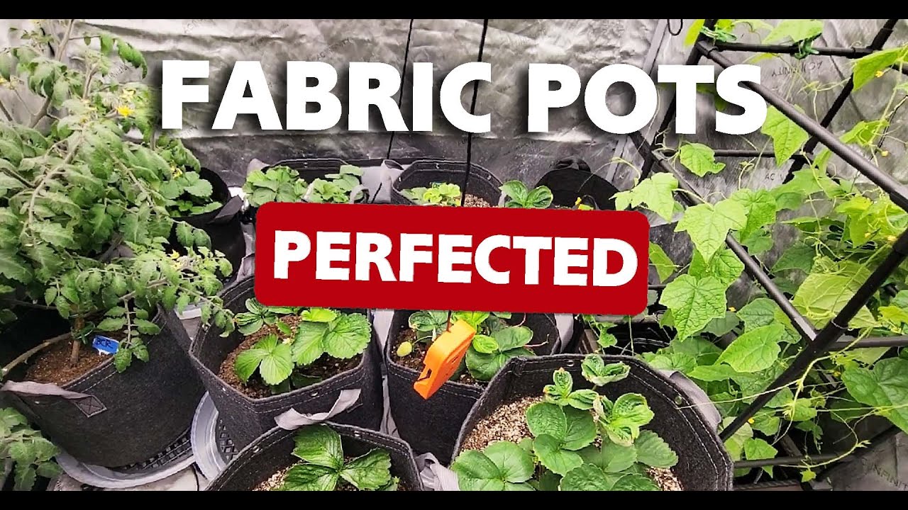 Fabric grow bag, container potting mix and amendments ready for setup