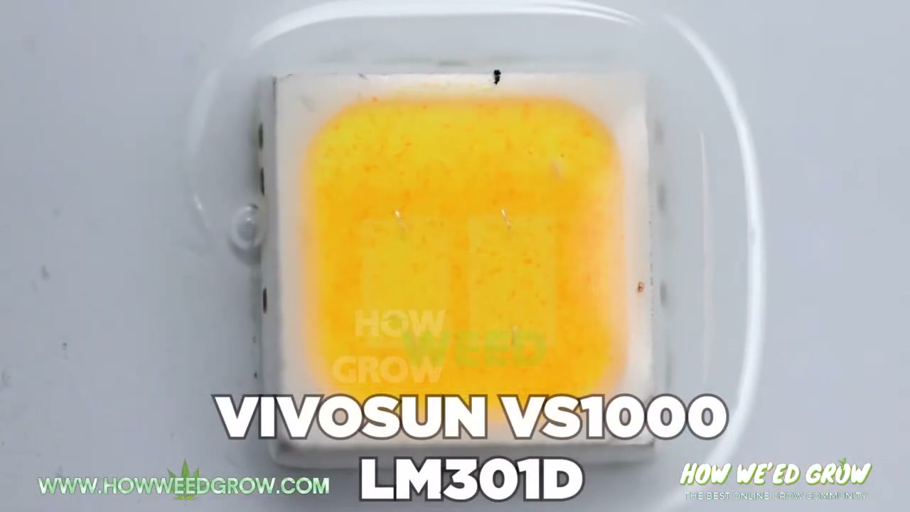 Macro video frame of an LED package labeled as an LM301D example in the original HWGrow comparison