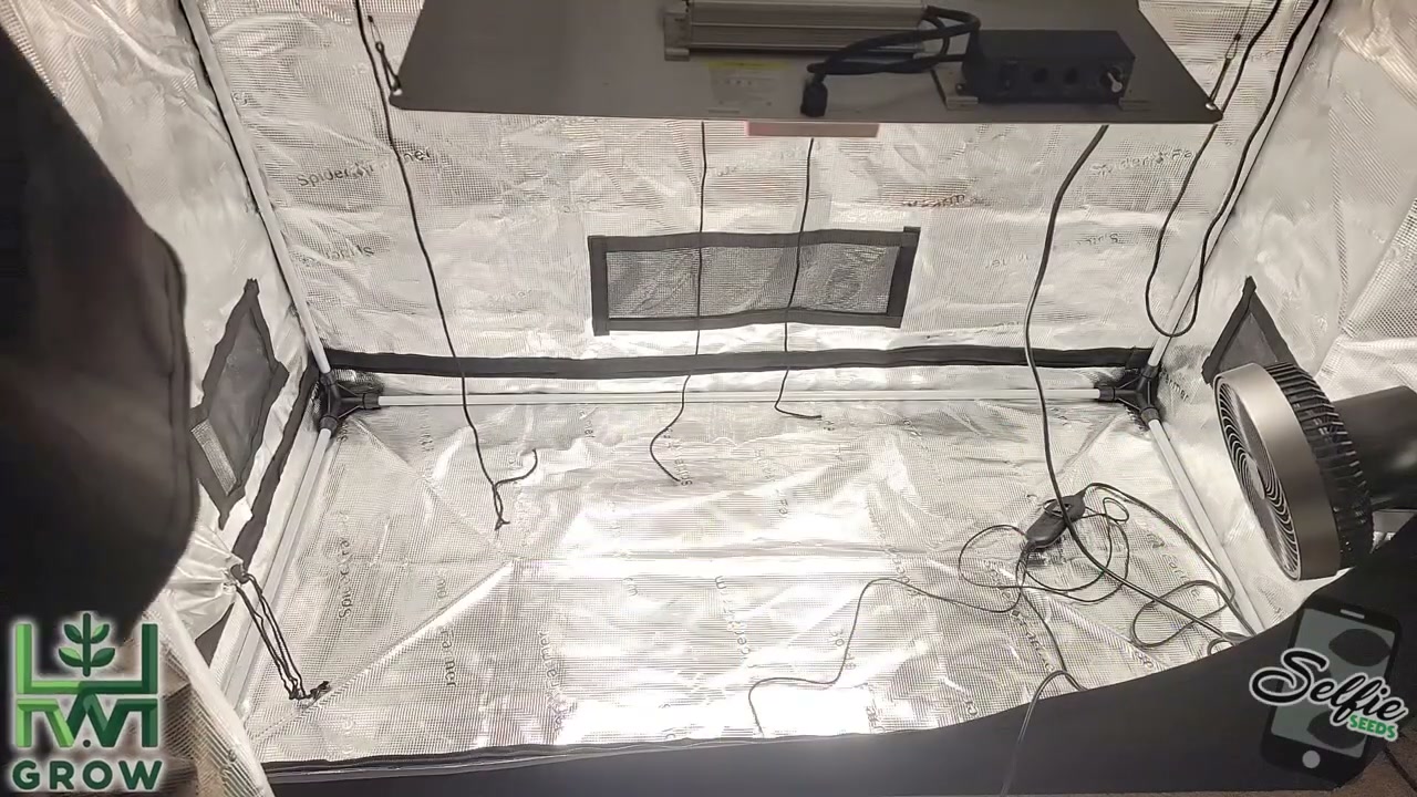Oversized two-by-four indoor grow tent showing the light, circulation fan and accessible rectangular floor plan