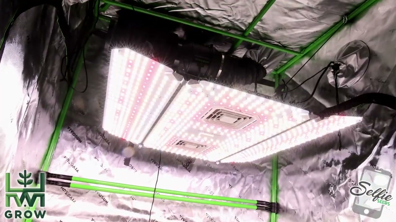2024 Vivosun AeroLight Wing AW400 with two built-in circulation fans and adjustable folding side panels inside a grow tent