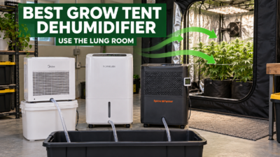 Best grow tent dehumidifier setup with Midea, hOmeLabs and Spider Farmer in the lung room