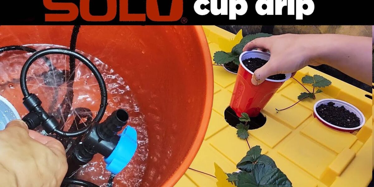 DIY eight-cup automatic drip irrigation tote video thumbnail