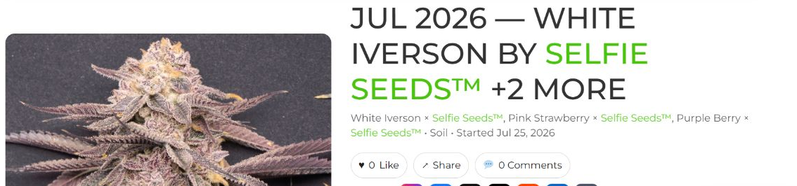 Header of HWGrow's existing journal