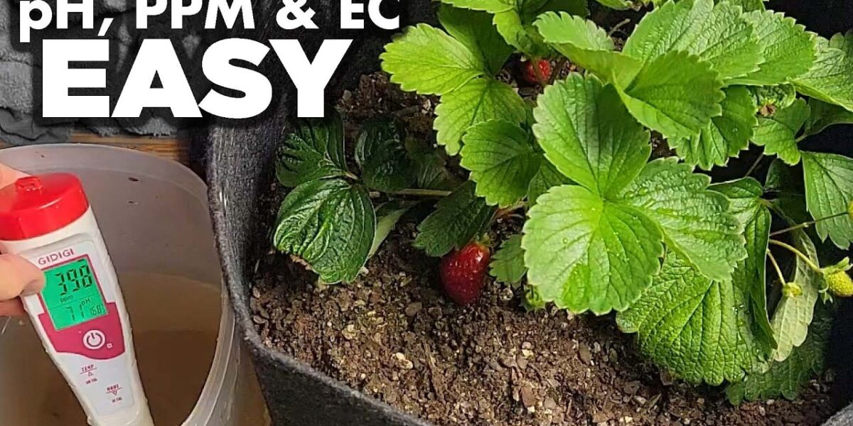 pH, PPM and EC Made Easy video thumbnail